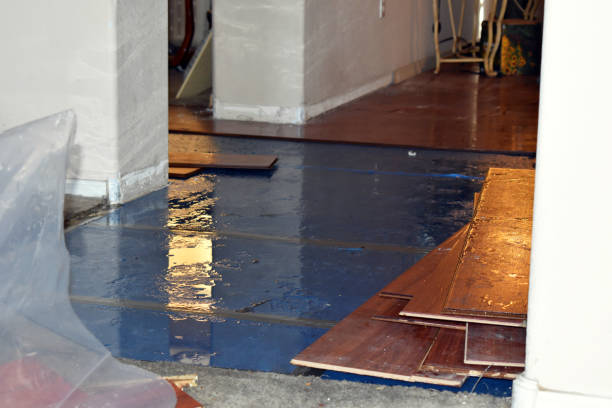 Professional Water Extraction technician working in Finleyville, PA